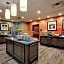 Hampton Inn By Hilton Snyder Tx