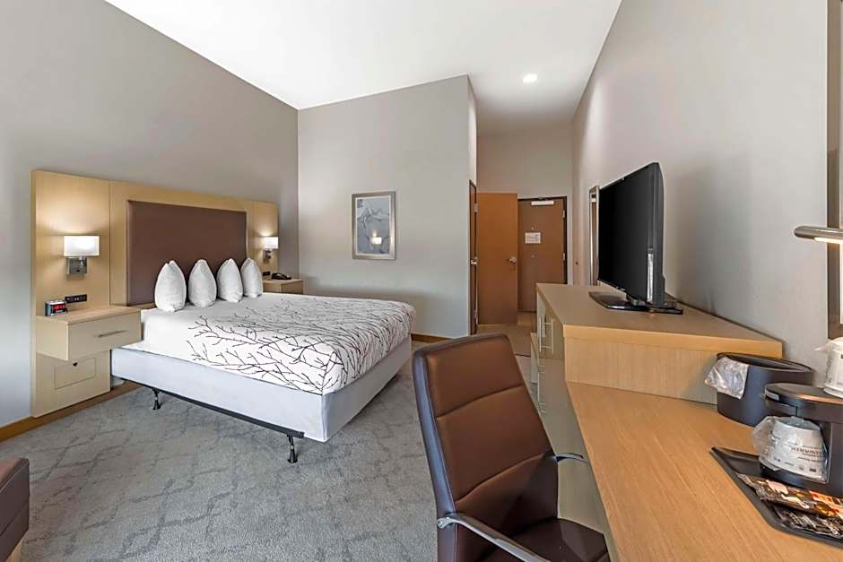 Best Western Plus Chickasha Inn