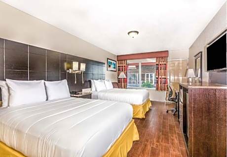 2 Queen Beds Efficiency Suite Nonsmoking