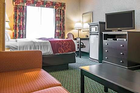 1 King Bed, Suite, Nonsmoking