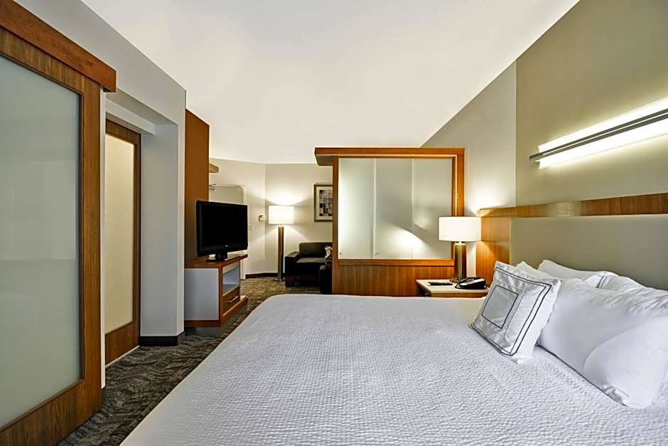 SpringHill Suites by Marriott Tallahassee Central
