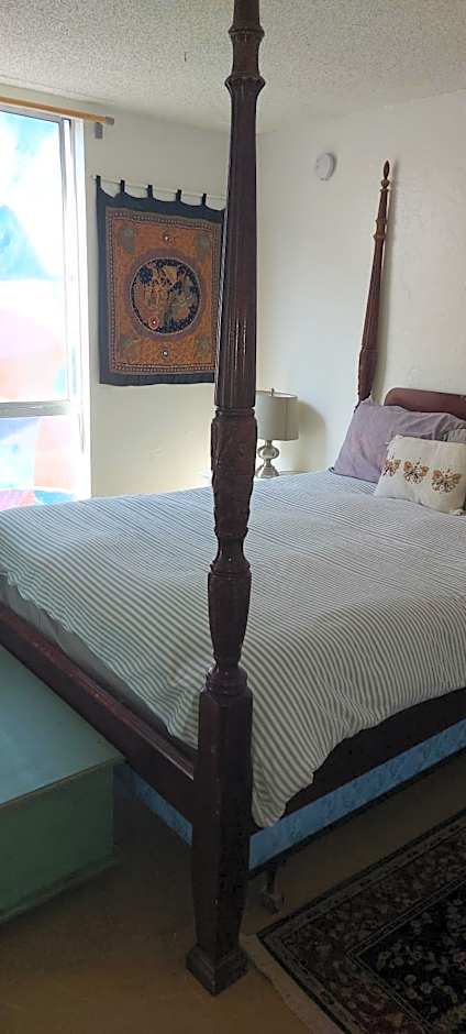 Ocean Front Vortex Female Hostel private rooms Free bikes