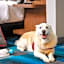Aloft Columbia Harbison