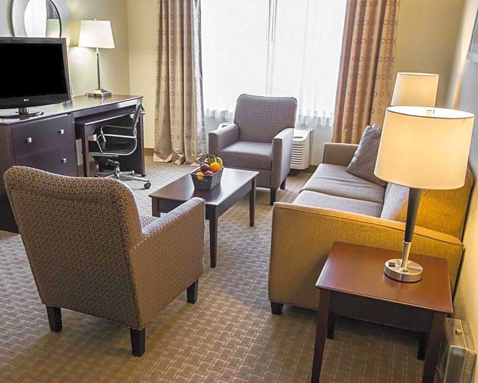 Comfort Suites University Area