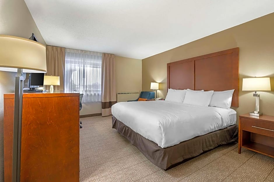 Comfort Inn & Suites North At The Pyramids