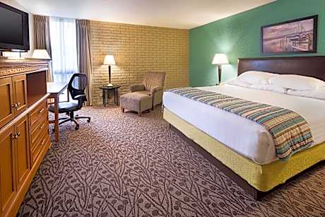 Superior King Suite