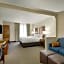Comfort Inn Airport Roanoke