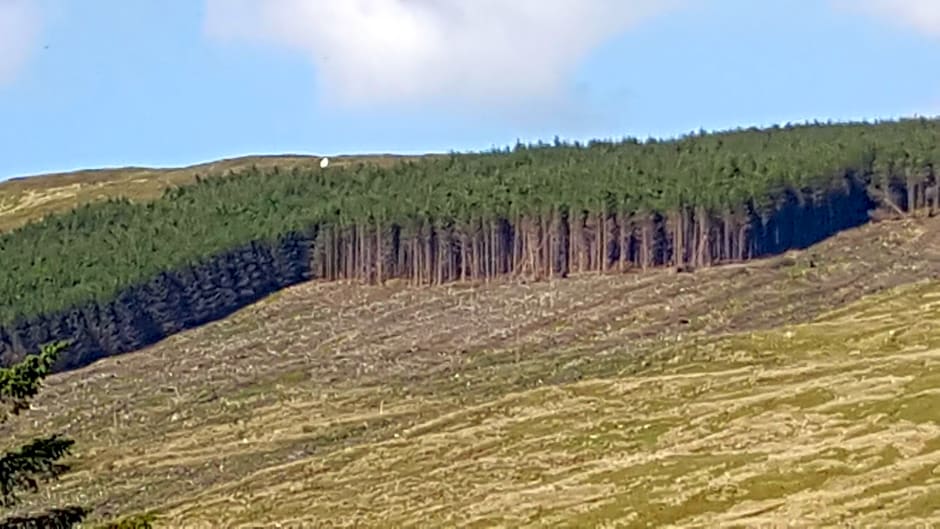 An Charraig Ban on the wild Atlantic way F94WT02