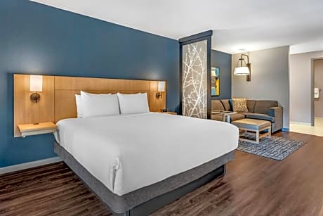 King Room with Sofa Bed and Accessible Tub - Disability Access