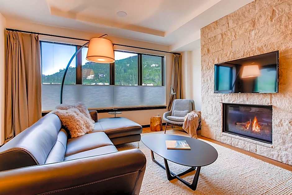 The Lion Vail