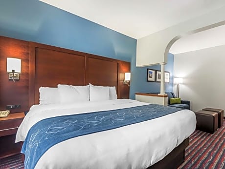 King Suite with Sofa Bed
