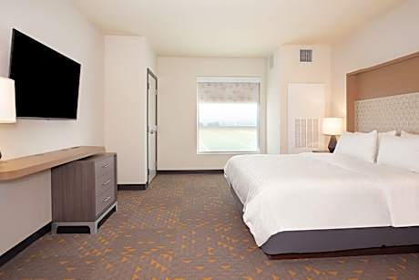 1 Bedroom Suite