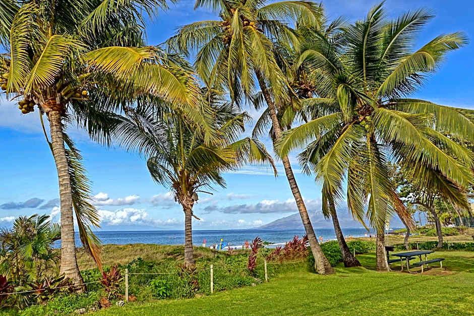 Aloha Kahakai