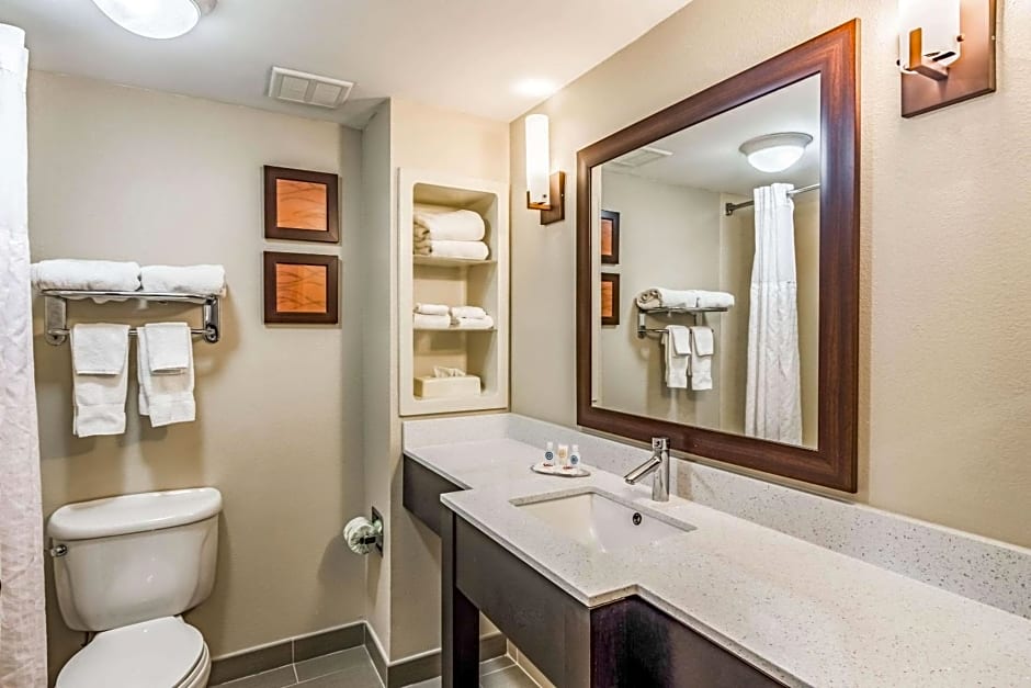 Comfort Inn & Suites Chattanooga West - Lookout Mountain