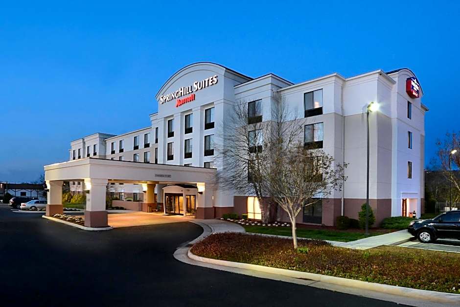 SpringHill Suites by Marriott Lynchburg Airport/University Area