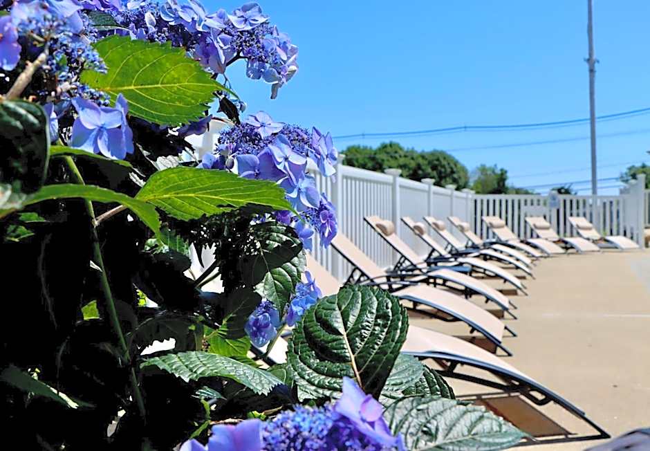 Sea View Motel