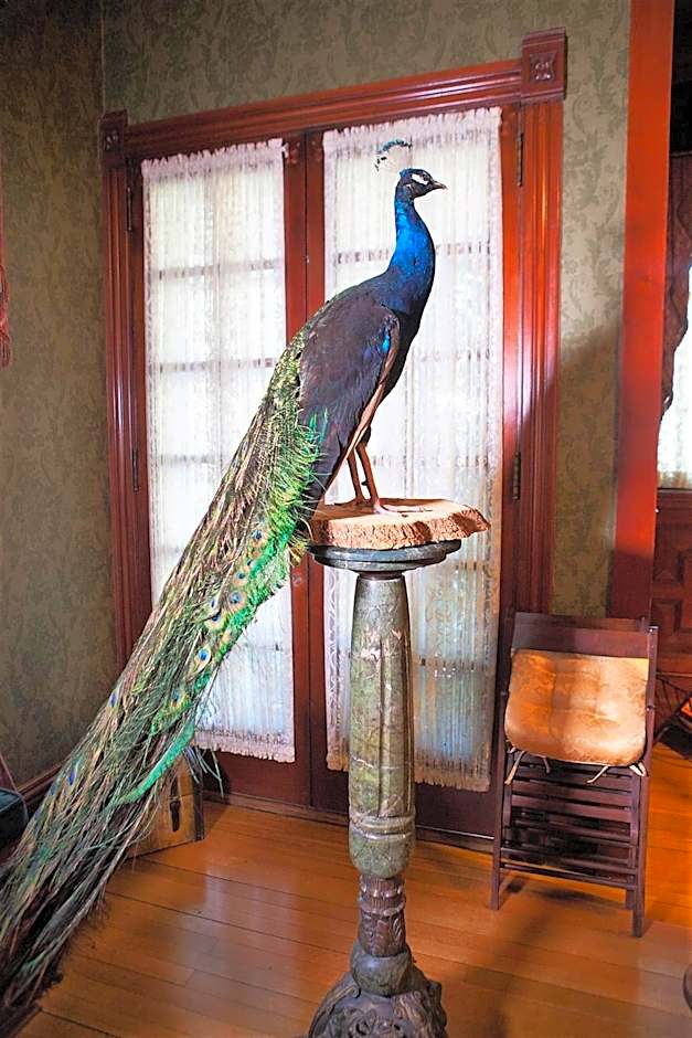 Alexander Mansion Bed & Breakfast