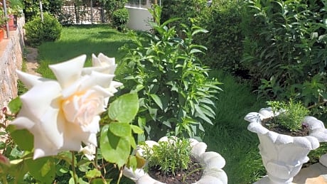 Vila Renato Ksamil - Alojamientos en KSAMIL