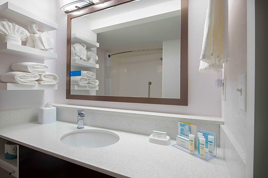 Hampton Inn By Hilton And Suites Atlanta-Galleria