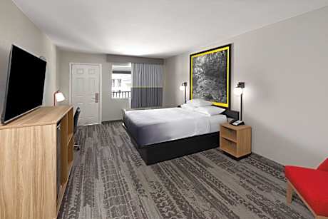 Double Room - Disability Access - Non-Smoking
