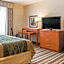 Comfort Inn Metro Airport Romulus