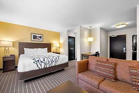 One-Bedroom Suite