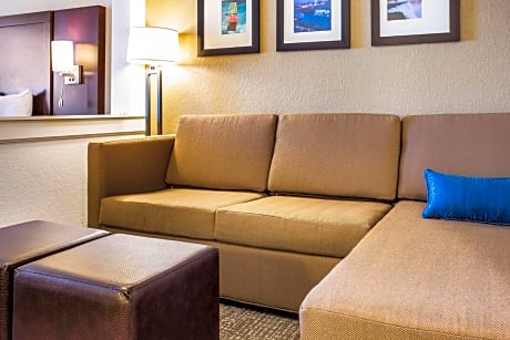 King Suite with Sofa Bed - Non-Smoking