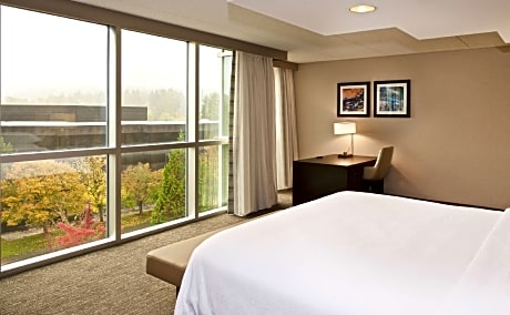 1 King Mobility Hearing Roll in Shower Presidential Suite