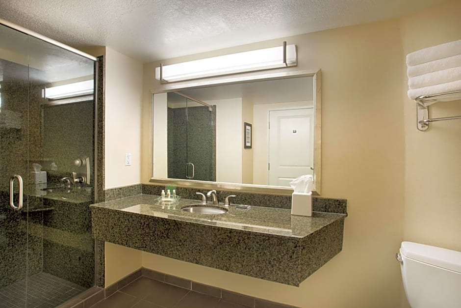 Holiday Inn Scottsdale North- Airpark by IHG