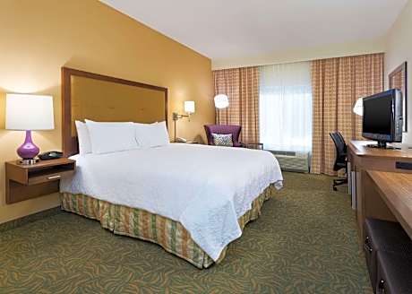1 King Bed Nonsmoking