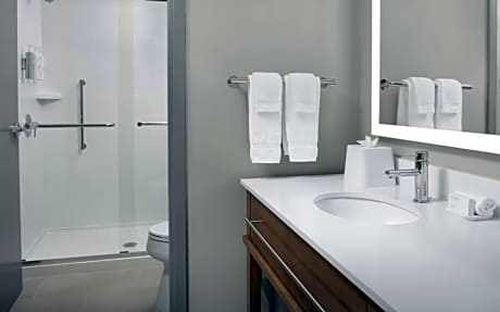 1 King 1 Bdrm Ste Mobility Access With Tub