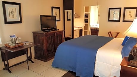 King Room with Patio