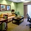 Holiday Inn Express Hotel & Suites Atlanta Buckhead