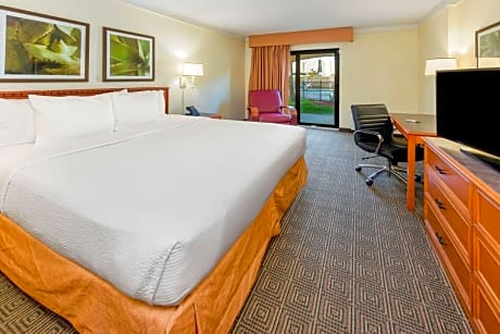 Executive King Room - Poolside