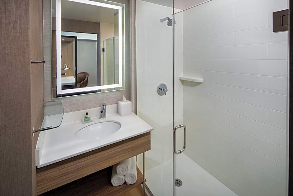 SpringHill Suites by Marriott New York Queens/Jamaica