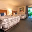 Lemon Tree Inn