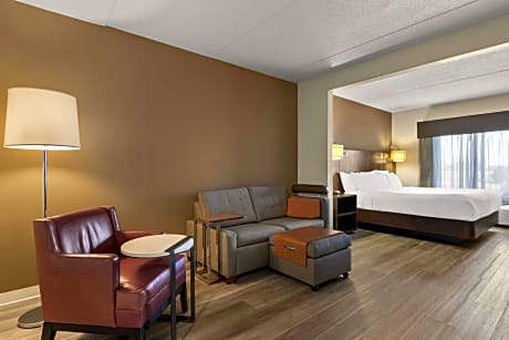 1 King Bed Studio Suite Non-Smoking