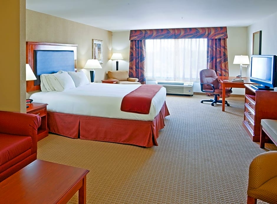 Holiday Inn Express Hotel & Suites Latham