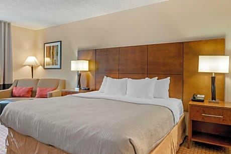 1 King Bed, Business Room, Nonsmoking