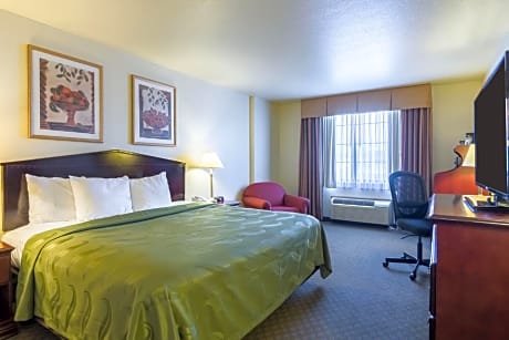 1 King Bed Nonsmoking Accessible