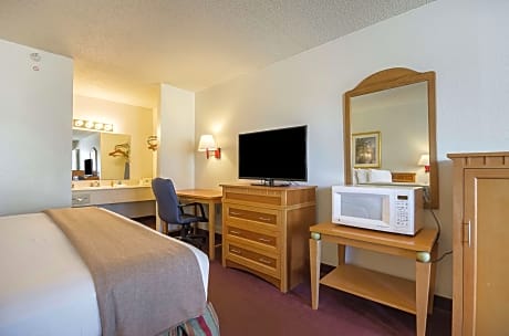 1 King Bed Dlx Pet 1st Flr NS