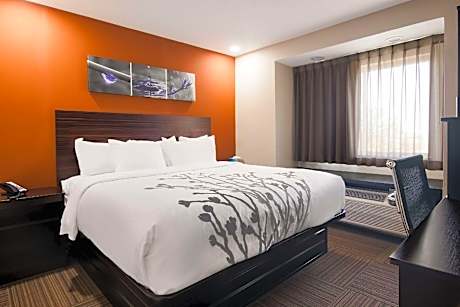 1 King Bed Nonsmoking
