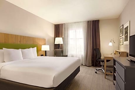 King Room - Pet Friendly/Non-Smoking