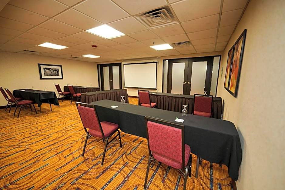 Holiday Inn & Suites Chicago-Carol Stream (Wheaton)