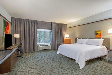 1 King Bed