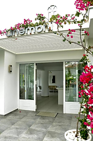 Anemoni Beach Hotel