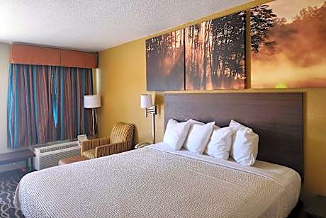 1 King Bed Smoking