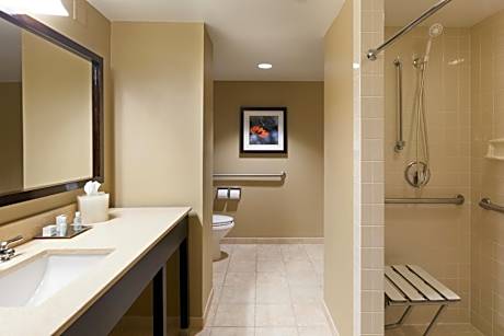 Standard King Room with Roll-In Shower - Mobility Access