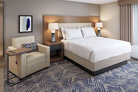 1 Queen Bed 1 Bedroom Suite Comm Access