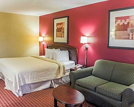 1 King Bed Nonsmoking Accessible